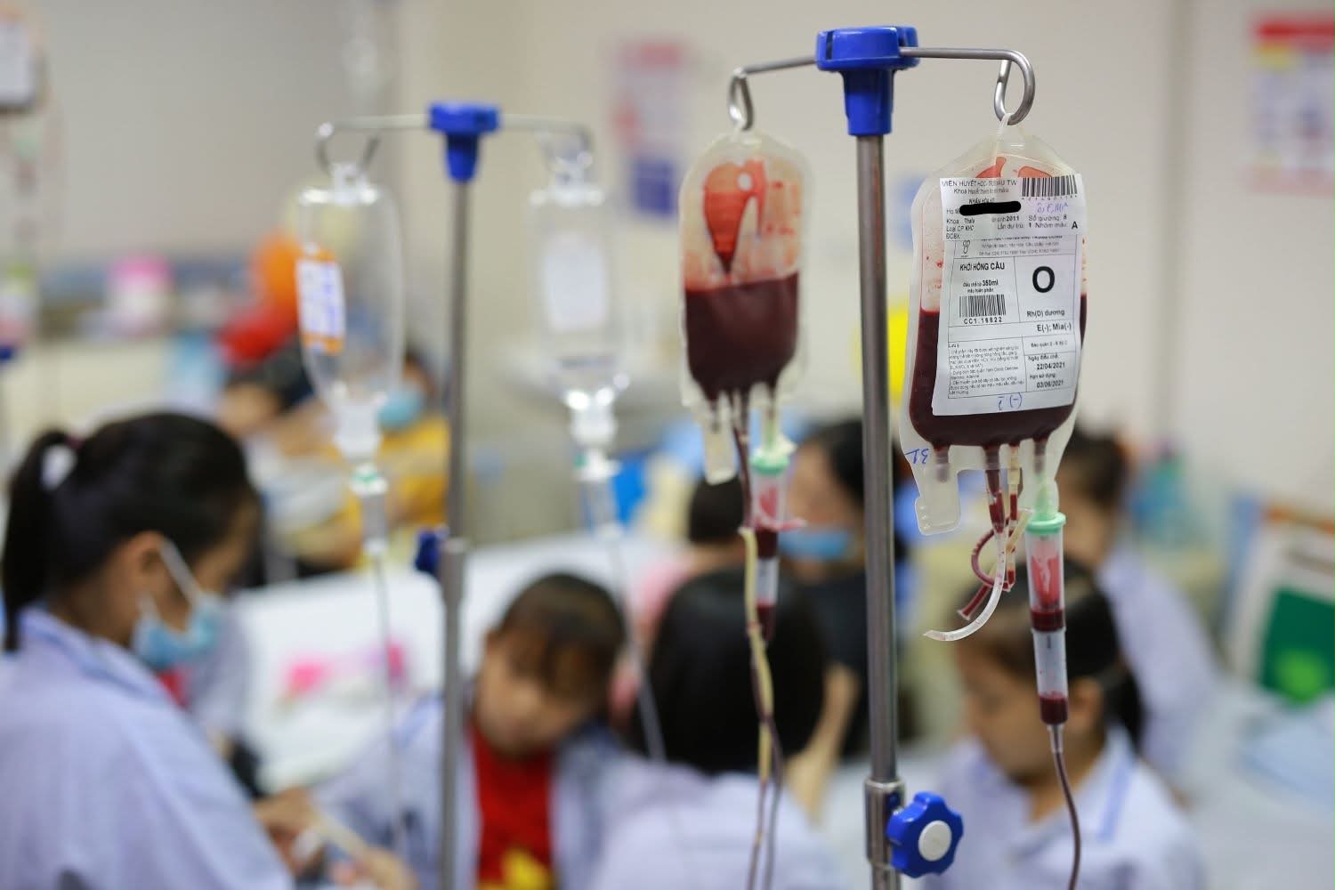Ng&agrave;y Thalassemia Thế giới (8/5): Nhiều người mang gen bệnh m&agrave; kh&ocirc;ng biết - Ảnh 1.