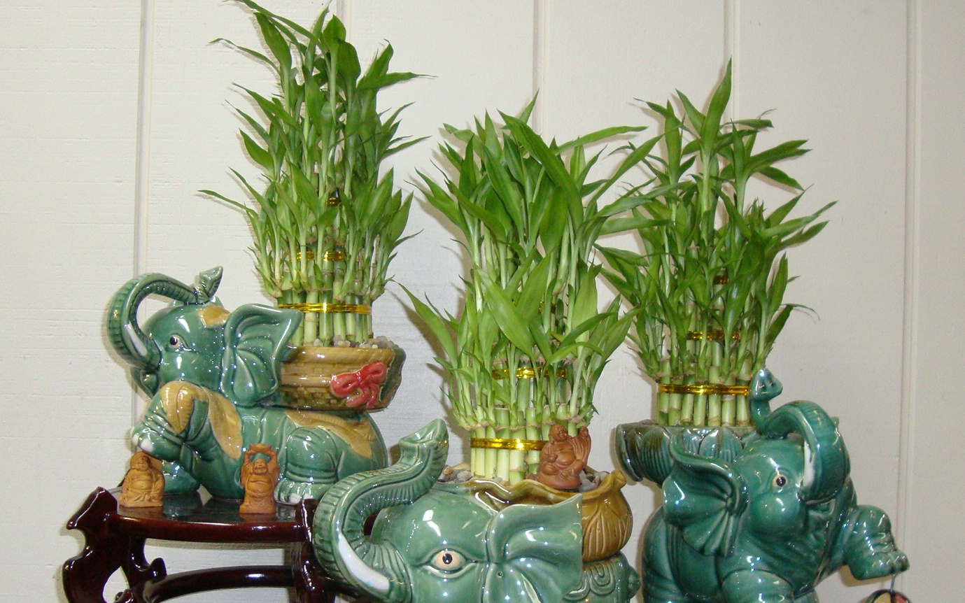 Đặt ngay những thứ này vào két sắt, tiền bạc tự tìm đến, may mắn nhân đôi - Ảnh 4.