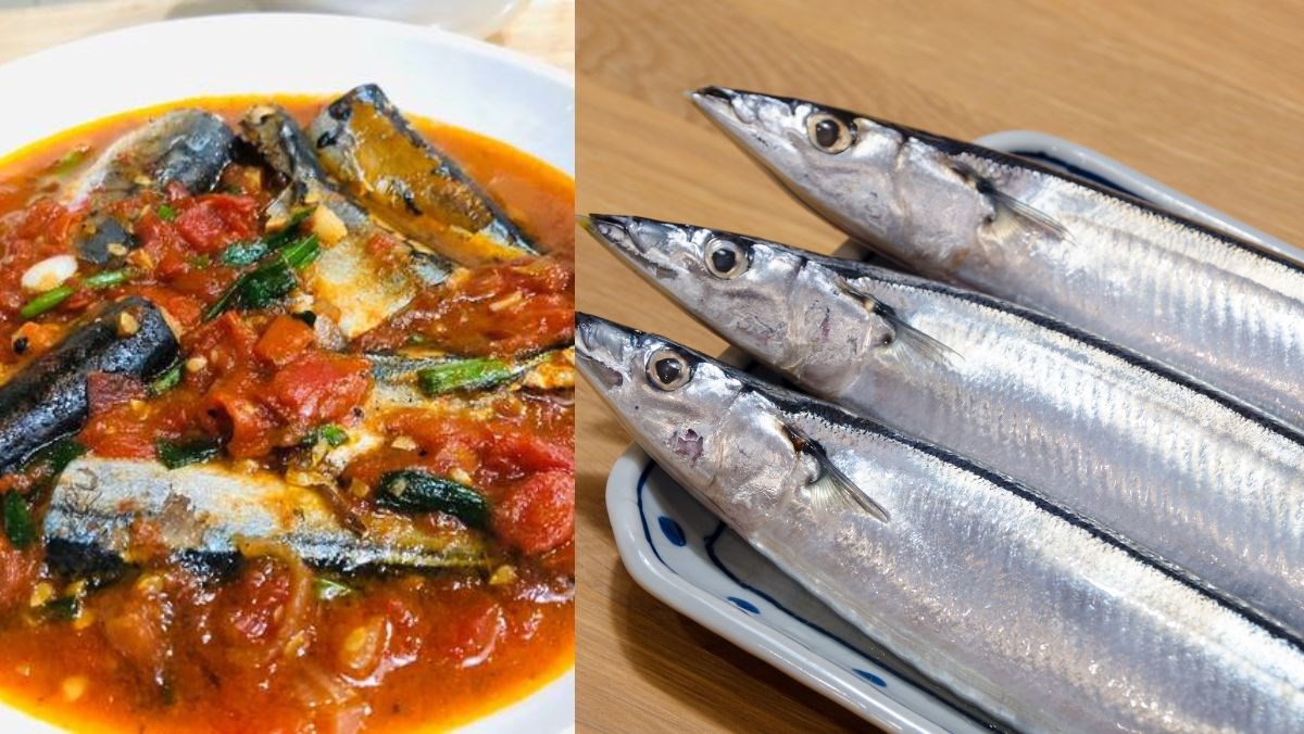 5 Lọai c&aacute; gi&aacute; b&igrave;nh d&acirc;n gi&agrave;u omega - 3 cho bữa cơm m&ugrave;a h&egrave; 2026 - Ảnh 2.