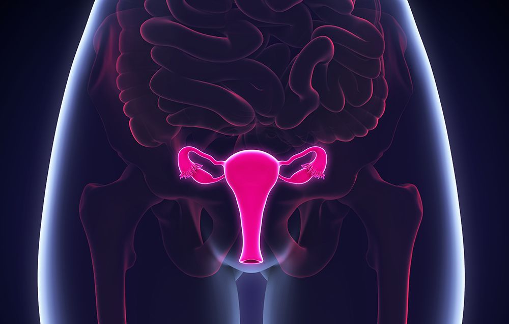 Ngo&agrave;i ung thư cổ tử cung, HPV c&oacute; thể g&acirc;y loại ung thư n&agrave;o kh&aacute;c?- Ảnh 1.