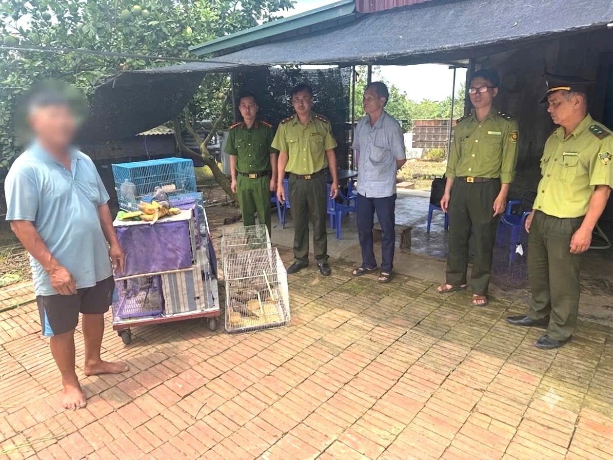 Người đàn ông Hải Phòng bị phạt 3 triệu đồng vì nuôi nhốt 46 cá thể chim hoang dã - Ảnh 1.