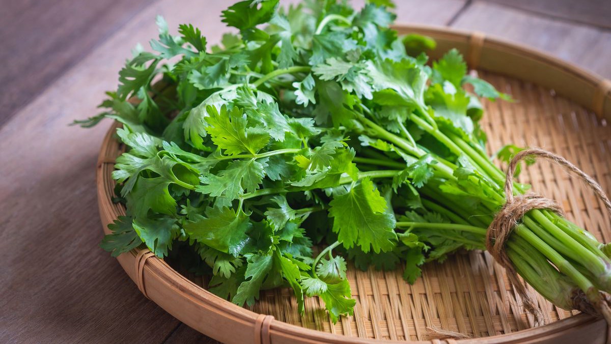 5 Lọai rau thơm qúy giá bảo vệ sức khỏe tim mạch và phòng ngừa ung thư - Ảnh 2. 5 Lọai rau thơm qúy giá bảo vệ sức khỏe tim mạch và phòng ngừa ung thư - Ảnh 2.