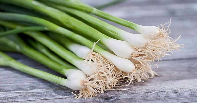 5 Lọai rau thơm q&uacute;y gi&aacute; bảo vệ sức khỏe tim mạch v&agrave; ph&ograve;ng ngừa ung thư - Ảnh 3.