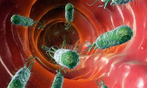 Thiếu ni&ecirc;n 15 tuổi thiếu m&aacute;u nặng, ngất xỉu v&igrave; xuất huyết dạ d&agrave;y do vi khuẩn HP - Ảnh 2.