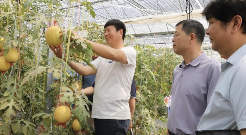 Ph&aacute;t minh của Trung Quốc g&acirc;y sốc ng&agrave;nh rau quả: Tạo ra &lsquo;dưa hấu vũ trụ&rsquo; c&oacute; hương vị sữa, chocolate, thu về hơn 30.000 đơn đặt h&agrave;ng - Ảnh 1.
