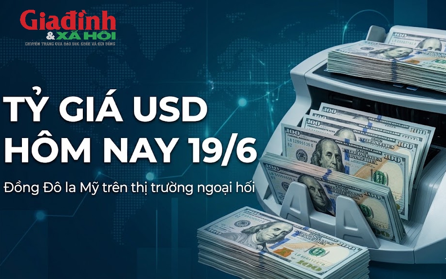 Tỷ giá USD hôm nay 20/6: Đồng Đô la Mỹ chợ đen bán ra 26.600 đồng/USD - Ảnh 4.
