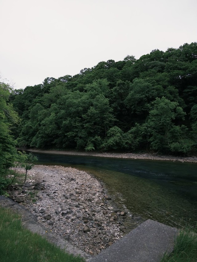  - Ảnh 3.