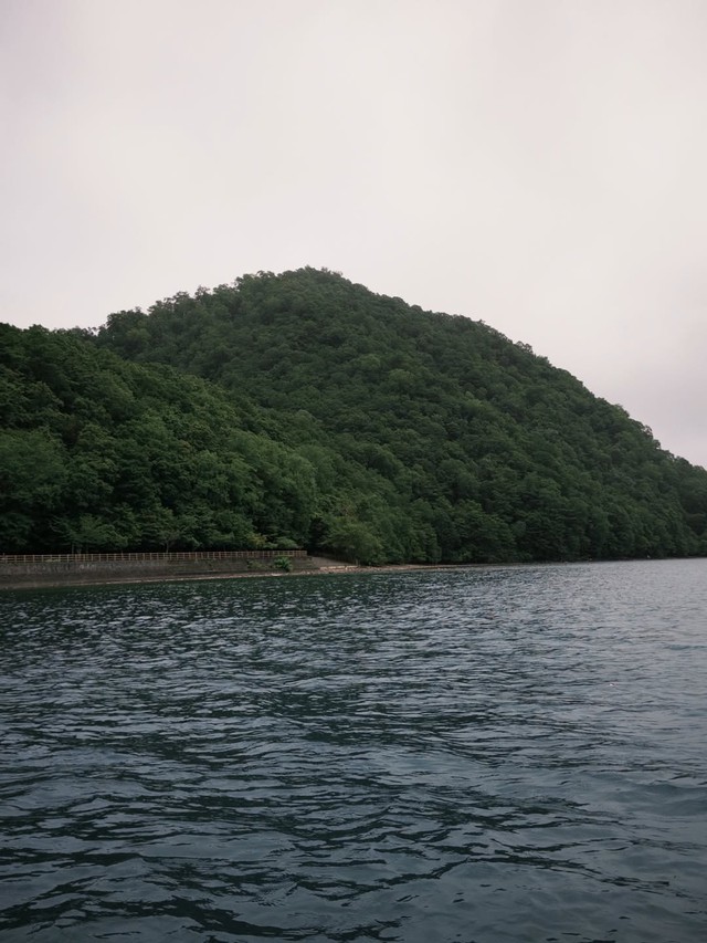  - Ảnh 2.
