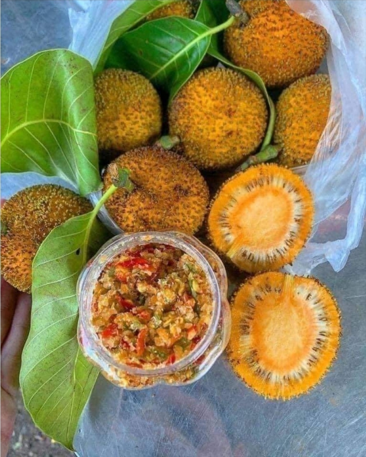 Loại quả dại mọc đầy bờ r&agrave;o kh&ocirc;ng ai h&aacute;i giờ th&agrave;nh đặc sản được ưa chuộng gi&aacute; 120.000 đồng/kg vẫn kh&oacute; mua - Ảnh 2.