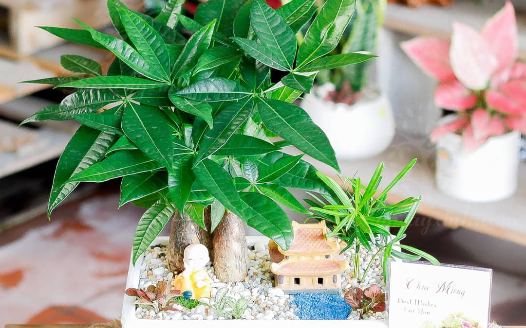Mẹo treo quạt đ&uacute;ng phong thủy gi&uacute;p rước t&agrave;i lộc, sức khỏe - Ảnh 4.