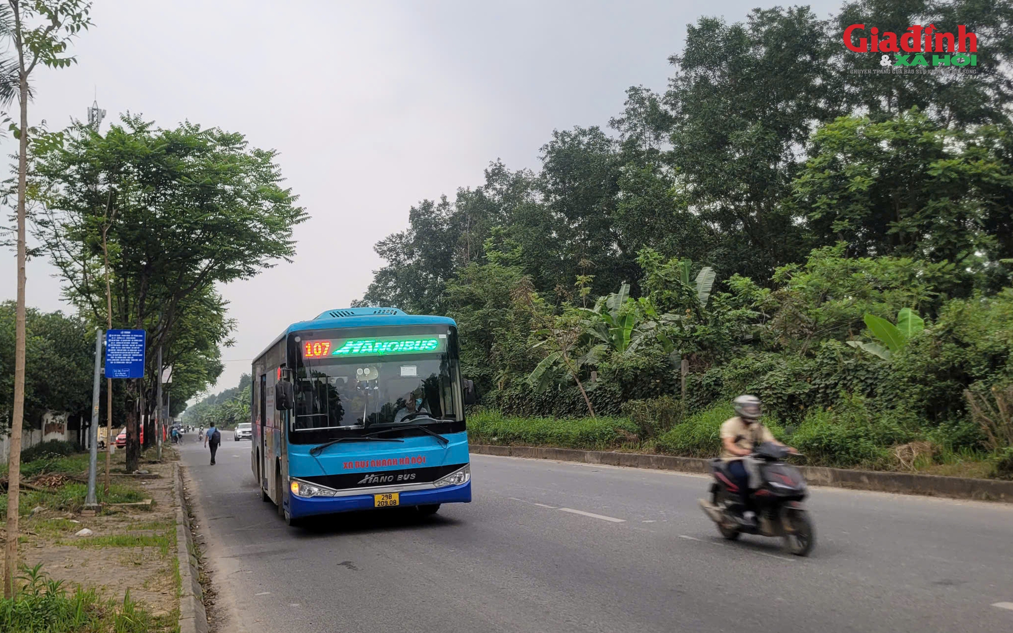 Quản l&yacute; giết mổ H&agrave; Nội siết chặt để bảo đảm an to&agrave;n thực phẩm v&agrave; ph&ograve;ng chống dịch bệnh - Ảnh 1.