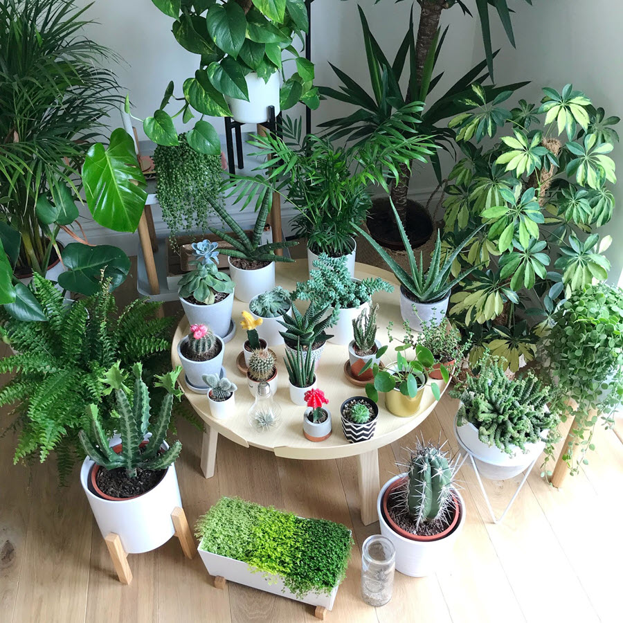 Người sống ngăn nắp c&oacute; 3 thứ trước cửa nh&agrave; gi&uacute;p cuộc sống dễ chịu hơn - Ảnh 4.
