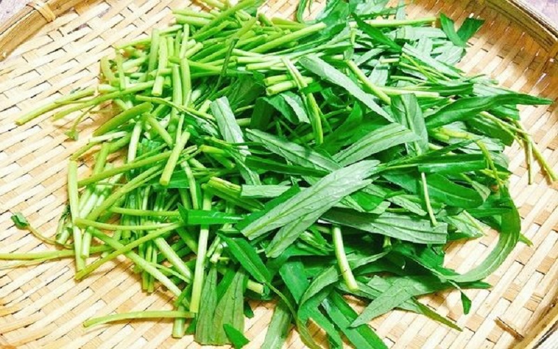 3 Lọai rau thanh lọc đường ruột m&ugrave;a h&egrave; , ngon v&agrave; dễ chế biến - Ảnh 5.