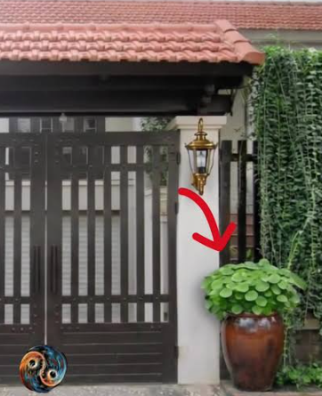 Chọn c&acirc;y phong thủy theo 12 con gi&aacute;p để tiền t&agrave;i rực rỡ - Ảnh 3.