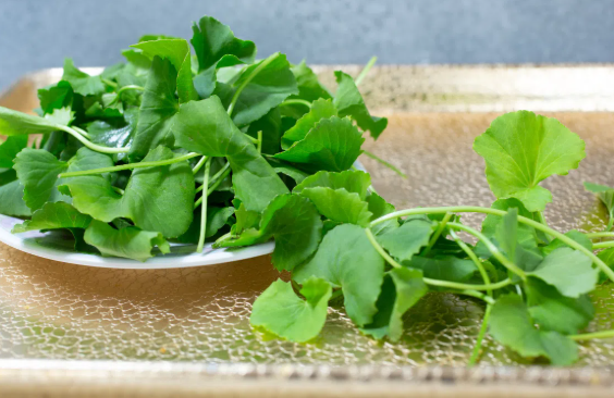 C&aacute;ch l&agrave;m đẹp da mặt bằng rau m&aacute; - Ảnh 2.