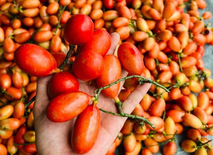 Loại quả xưa rụng đầy bờ r&agrave;o kh&ocirc;ng ai ng&oacute; giờ th&agrave;nh đặc sản l&ecirc;n tới 500.000 đồng/kg, trồng một lần thu hoạch cả đời - Ảnh 4.