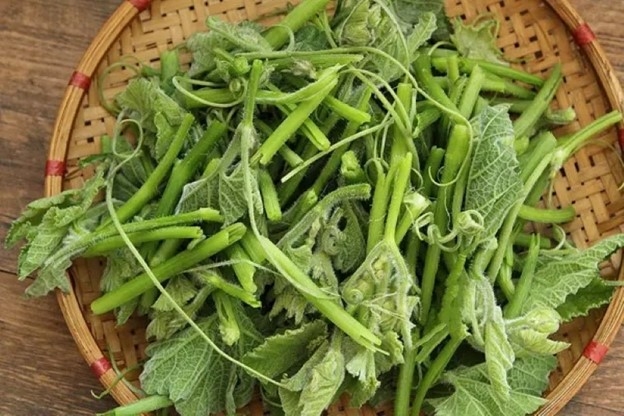 Loại rau m&ugrave;a h&egrave; b&aacute;n đầy chợ Việt, gi&uacute;p hỗ trợ tim mạch, kiểm so&aacute;t đường huyết hiệu quả - Ảnh 2.