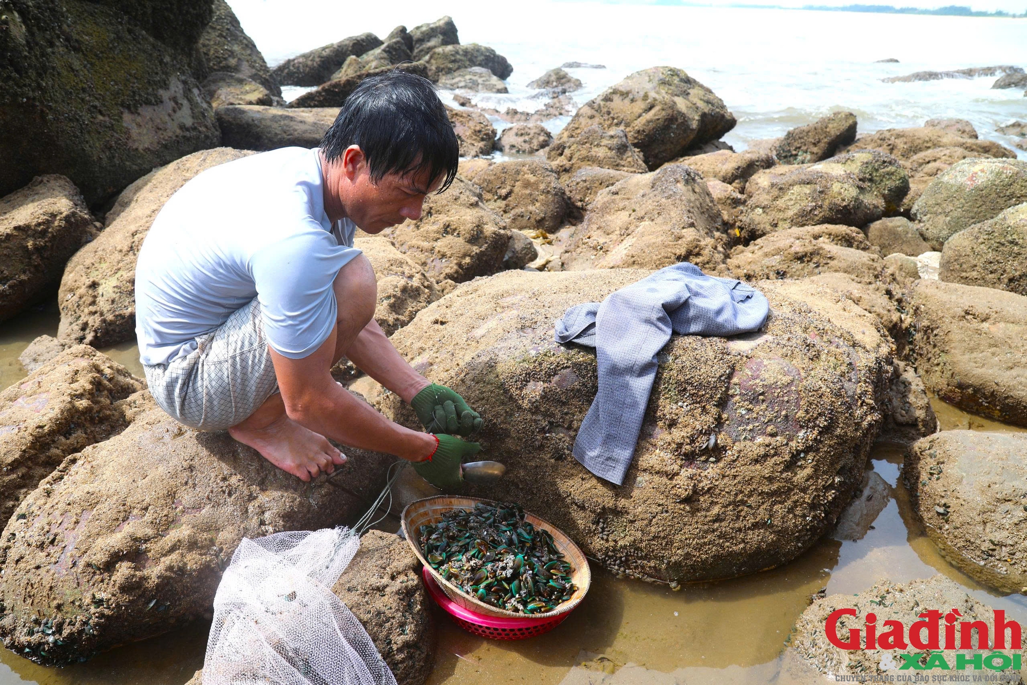 Đặc sản vẹm xanh b&aacute;m chi ch&iacute;t tr&ecirc;n ghềnh đ&aacute;, được v&iacute; như 'nh&acirc;n s&acirc;m, thuốc bổ' - Ảnh 6.