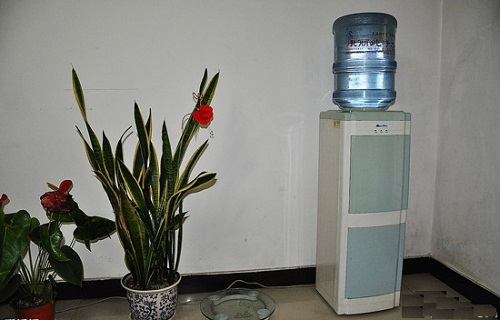 Mẹo đặt b&igrave;nh nước uống theo phong thủy gi&uacute;p t&agrave;i lộc hanh th&ocirc;ng - Ảnh 2.