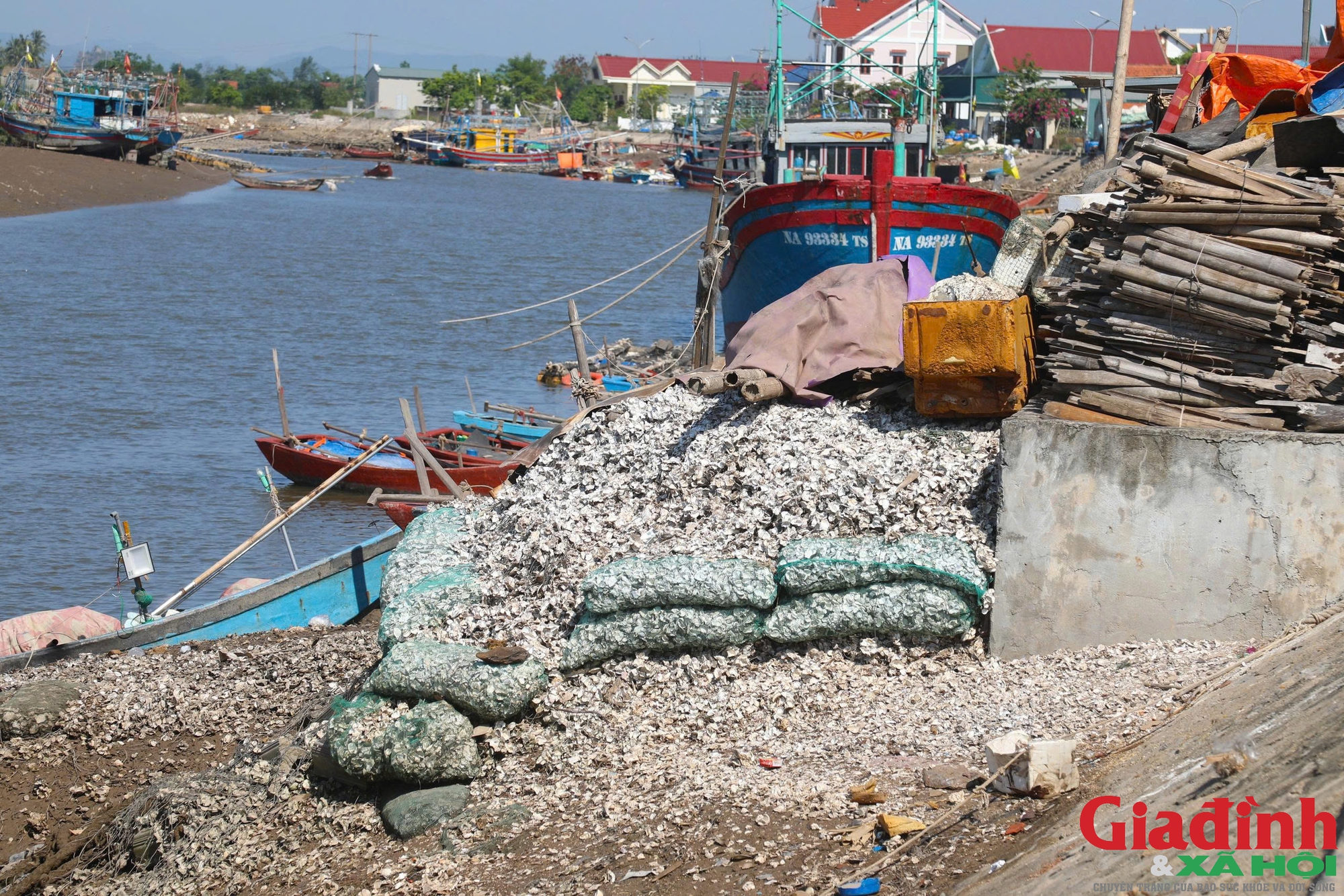 R&aacute;c vỏ h&agrave;u bủa v&acirc;y nhiều tuyến s&ocirc;ng ven biển Nghệ An - Ảnh 5.