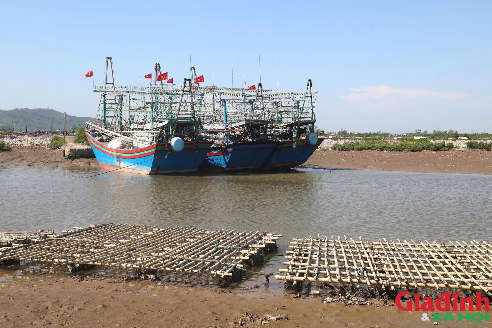 R&aacute;c vỏ h&agrave;u bủa v&acirc;y nhiều tuyến s&ocirc;ng ven biển Nghệ An - Ảnh 1.