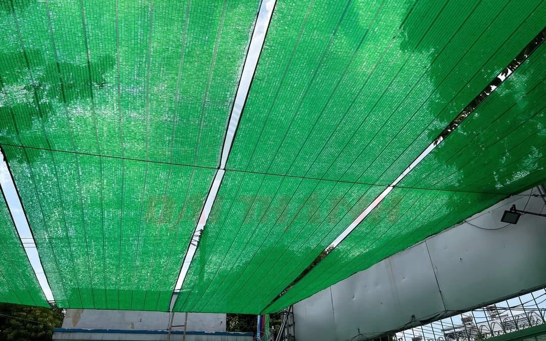 Đặt ngay những thứ này vào két sắt, tiền bạc tự tìm đến, may mắn nhân đôi - Ảnh 5.