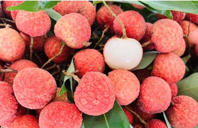 Loại quả m&ugrave;a h&egrave; được chuy&ecirc;n gia Mỹ đ&aacute;nh gi&aacute; cao, đang b&aacute;n đầy chợ, người Việt ăn đ&uacute;ng c&aacute;ch để sống thọ - Ảnh 1.