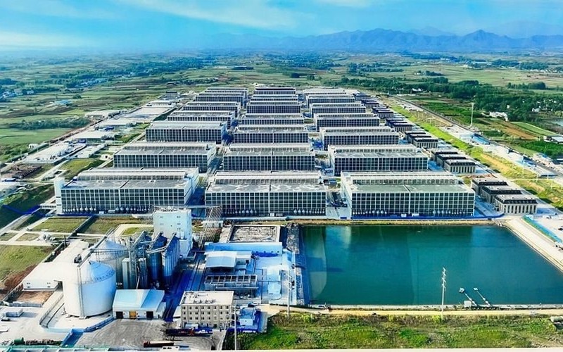 Tổ hợp chăn nu&ocirc;i lợn nh&agrave; cao tầng c&ocirc;ng nghệ cao H&agrave; Nội: Người d&acirc;n kỳ vọng ph&aacute;t triển kinh tế nhưng trăn trở b&agrave;i to&aacute;n kiểm so&aacute;t m&ugrave;i - Ảnh 1.