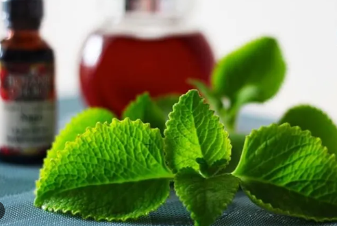 B&iacute; quyết dưỡng da khỏe mạnh, s&aacute;ng mịn từ l&aacute; h&uacute;ng chanh cực dễ l&agrave;m - Ảnh 1.