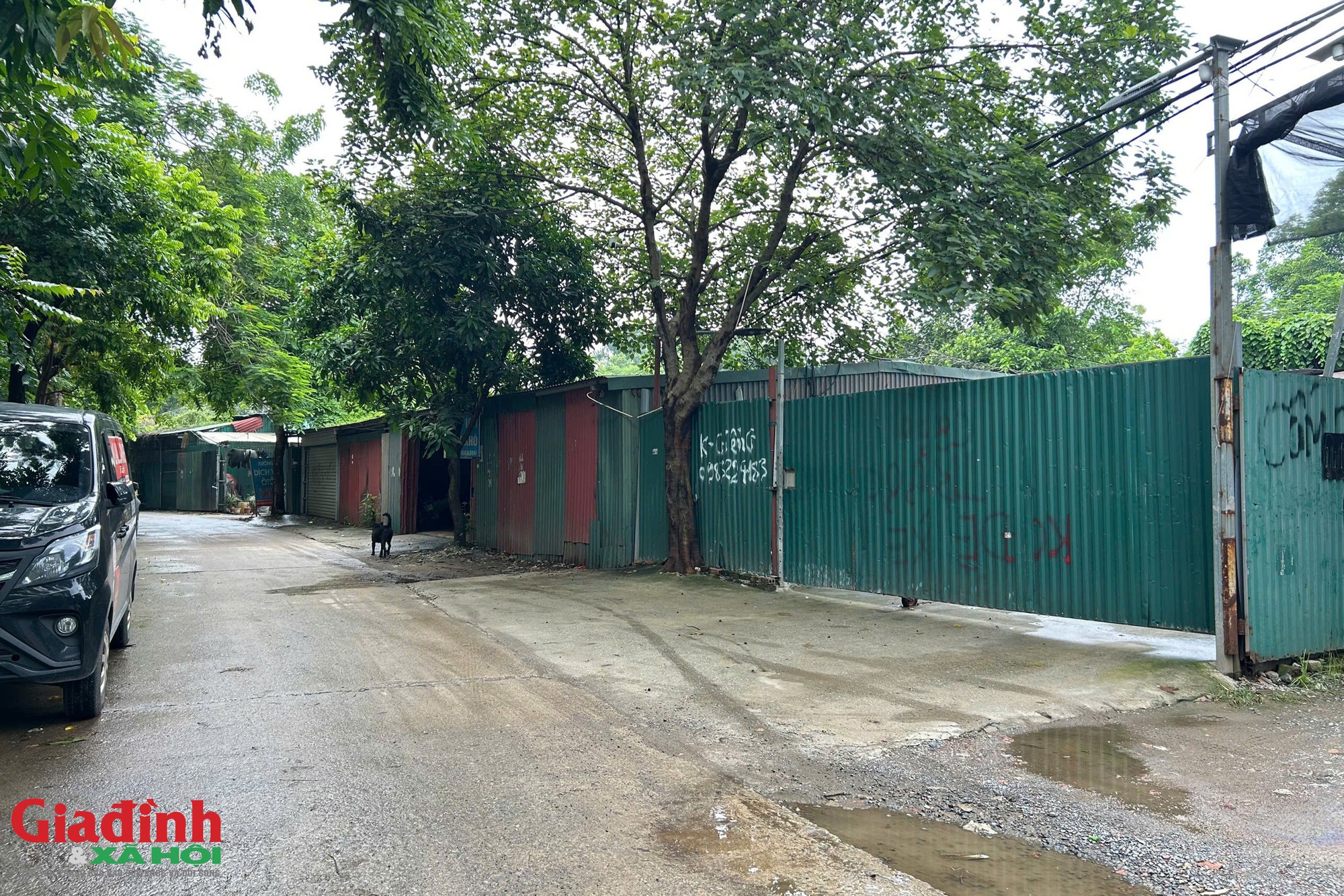 Hà Nội: Vi phạm đất đai và trật tự xây dựng tại phường Phú Diễn năm 2026 - Ảnh 2.
