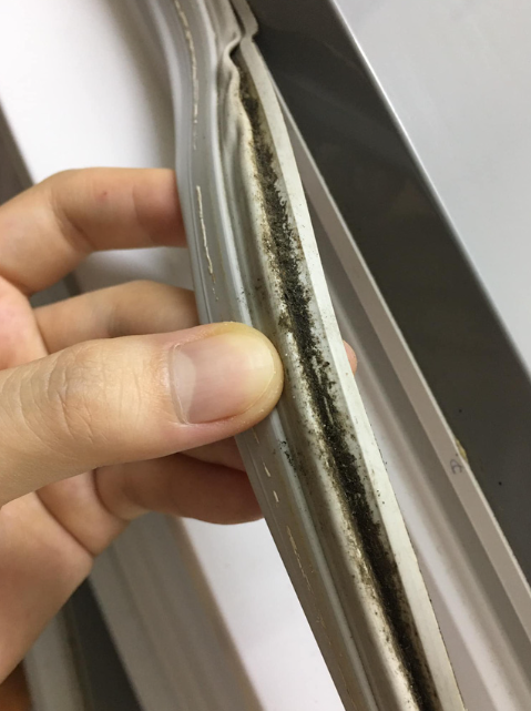 Mẹo giúp loại bỏ mảng mốc đen và mùi hôi giăng cao su tủ lạnh - Ảnh 1.