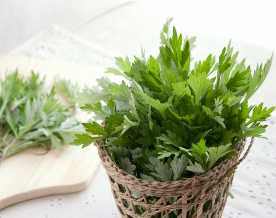 Ăn l&aacute; ngải cứu c&oacute; t&aacute;c dụng g&igrave; đối với phụ nữ v&agrave; những lưu &yacute; khi d&ugrave;ng để tr&aacute;nh ngộ độc - Ảnh 1.