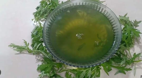 C&aacute;ch nấu nước l&aacute; ngải cứu tươi chữa đau đầu, cảm ho, xương khớp đ&uacute;ng c&aacute;ch - Ảnh 2.