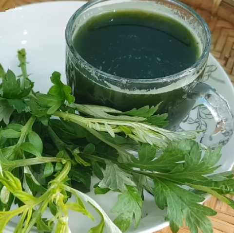 C&aacute;ch nấu nước l&aacute; ngải cứu tươi chữa đau đầu, cảm ho, xương khớp đ&uacute;ng c&aacute;ch - Ảnh 1.