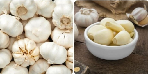 Ăn tỏi sống rất tốt, nhưng phải ăn thế này mới đúng cách và hiệu quả - Ảnh 4.