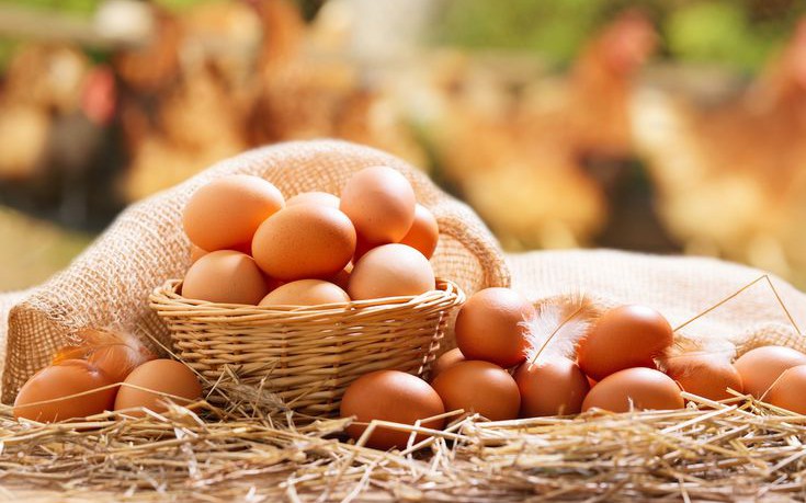 Chuy&ecirc;n gia n&oacute;i g&igrave; về c&aacute;ch ăn trứng để tốt cho tim mạch - Ảnh 5.