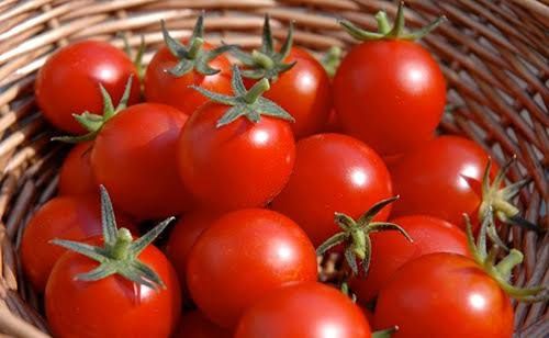 C&aacute;ch ăn c&agrave; chua hiệu quả để hấp thụ tối đa dưỡng chất cho sức khỏe - Ảnh 2.