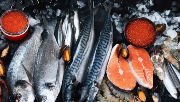 Kh&ocirc;ng phải c&aacute; hồi, đ&acirc;y mới l&agrave; 3 loại c&aacute; gi&agrave;u Omega-3 gi&aacute; b&igrave;nh d&acirc;n bạn n&ecirc;n ăn h&agrave;ng tuần - Ảnh 3.