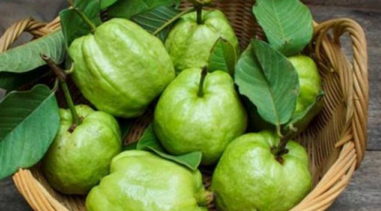Cách ăn ổi đúng cách tốt cho sức khỏe - Ảnh 3.
