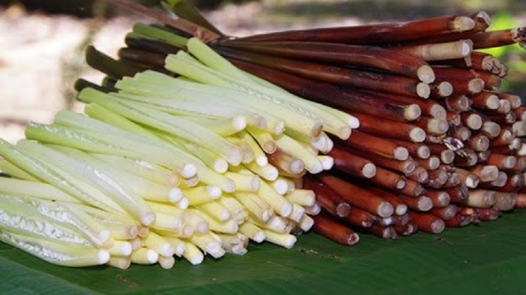 Loại cỏ dại mọc bờ mương xưa không ai "ngó" nay bán tới 120.000 đồng/kg, ăn tốt ngang thịt - Ảnh 2.
