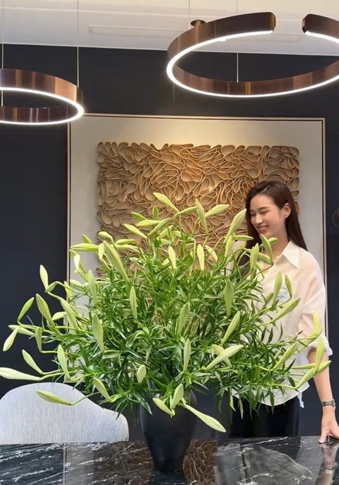 Hoa hậu Đỗ Thị H&agrave; khoe b&igrave;nh hoa loa k&egrave;n g&acirc;y tranh luận tr&ecirc;n mạng x&atilde; hội - Ảnh 6.