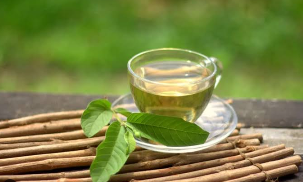C&oacute; n&ecirc;n uống nước l&aacute; ổi mỗi ng&agrave;y? C&aacute;ch nấu an to&agrave;n, hiệu quả - Ảnh 2.