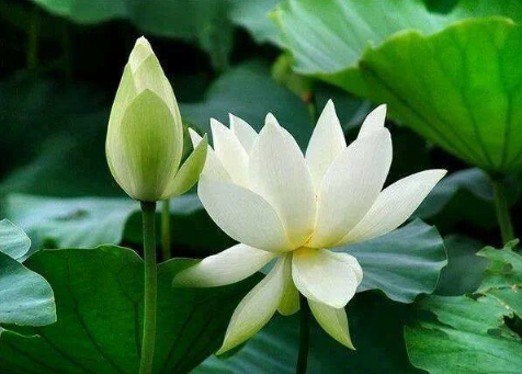 Giải mã tháng cô hồn và những quan niệm sai lầm không phải ai cũng biết - Ảnh 3.