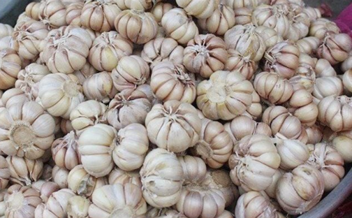 5 thực phẩm "rẻ như cho" nhưng là "kháng sinh tự nhiên" cực đỉnh ít ai ngờ - Ảnh 1.