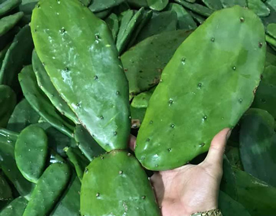 M&oacute;n ăn cực tốt cho sức khỏe, đặc biệt gi&uacute;p ngăn ngừa bệnh tiểu đường, dạ d&agrave;y - Ảnh 1.