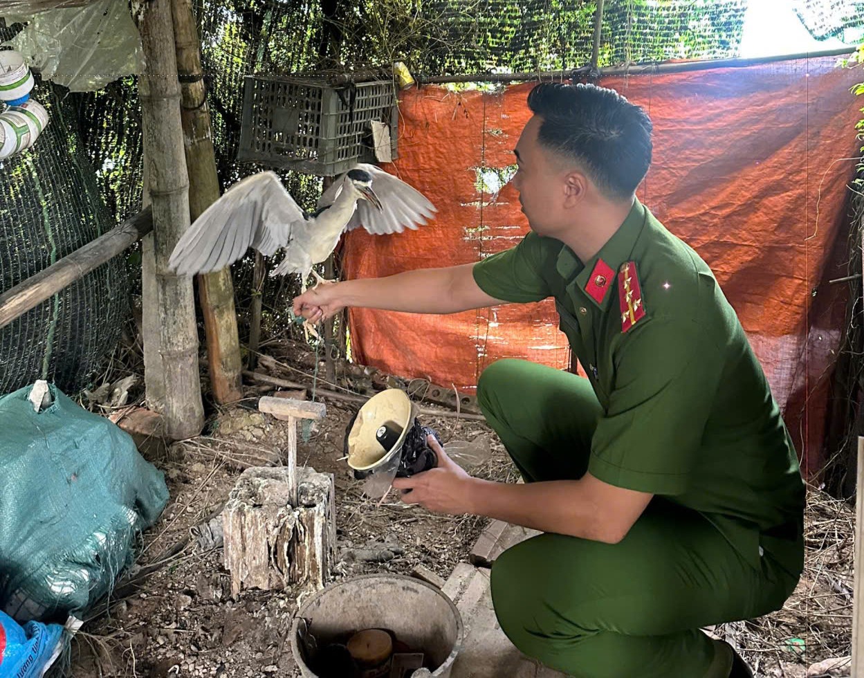 Kiểm tra đột xuất nh&agrave; d&acirc;n ph&aacute;t hiện nu&ocirc;i, nhốt tr&aacute;i ph&eacute;p động vật hoang d&atilde; - Ảnh 1.