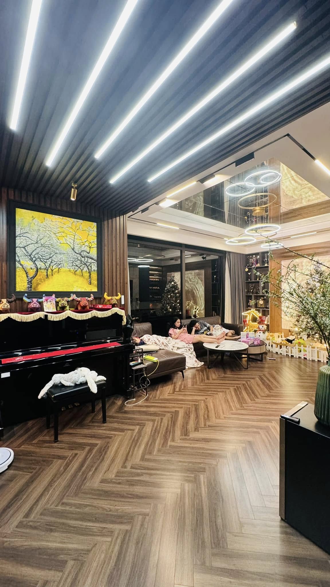 Hồng Đăng v&agrave; cuộc sống vi&ecirc;n m&atilde;n b&ecirc;n gia đ&igrave;nh trong biệt thự 3 mặt tiền đắt đỏ - Ảnh 8.