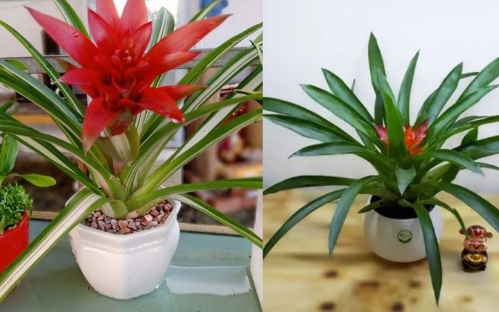 Những vị trí cấm kỵ khi bố trí bồn nước inox theo phong thủy tránh ảnh hưởng tới tài vận - Ảnh 3.