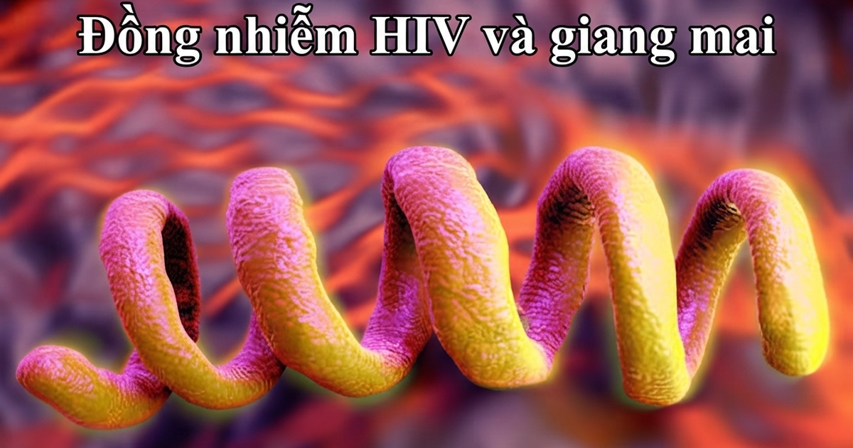 C&ocirc; g&aacute;i 25 tuổi mắc giang mai d&ugrave; kh&ocirc;ng c&oacute; triệu chứng - Ảnh 2.