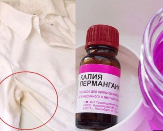 Bí quyết làm sạch vết mốc lâu ngày trên áo màu nhanh chóng và hiệu quả - Ảnh 3.